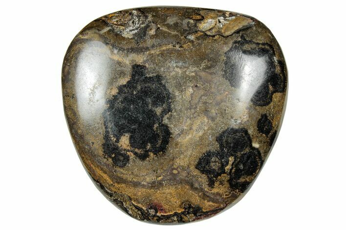 Polished Stromatolite (Greysonia) Pebble - Bolivia #302496